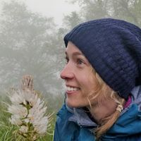 Fotos de Kate Isabel