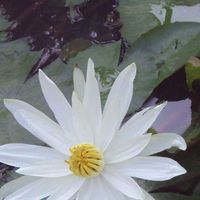 Nguyen HongHanh's Photo