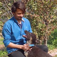 Фотографии пользователя Talha  Zulfiqar