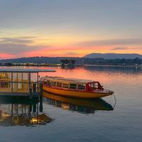 Youssef Masry's Photo