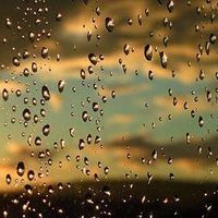 Le foto di Pedro Edison