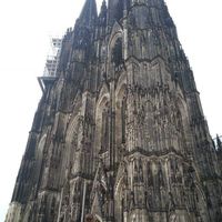 Fotos de ammar sharif