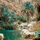 Wadi Shab's picture