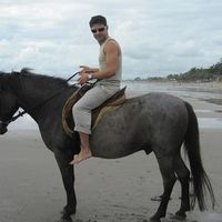 Фотографии пользователя Paolo Sollai