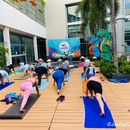 Free Yoga Gratis 🧘‍♀️的照片