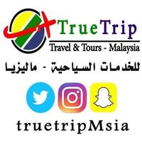 True Trip的照片