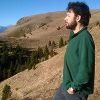 Marco Pollini的照片