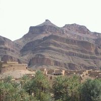 mohamed benali的照片