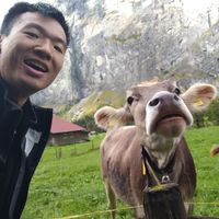 Charles Chan's Photo