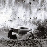 Pak Ying Ng's Photo