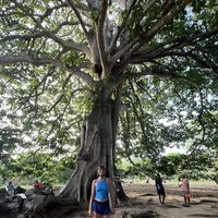 Vitalina Tselych's Photo