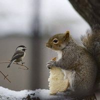 Hugo Brugeat's Photo