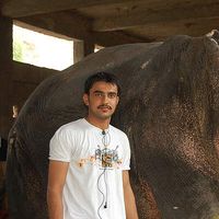 Vikram Singh's Photo