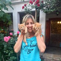 Ildikó Bozsik的照片