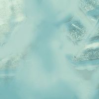 Himanshu Jain的照片