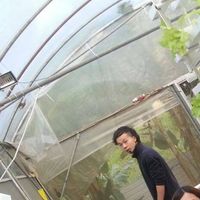 Fotos de Ben Siuyanlung