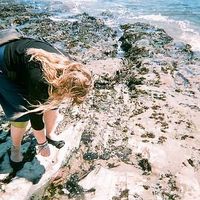 Sara Diamond的照片