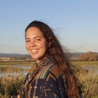 Zlil Lifshitz的照片