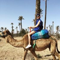 Olivier Henry's Photo