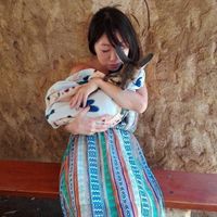 Haruka Sato的照片