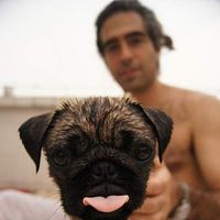 Fotos de Mariano Calabro