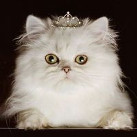 Renée Laloux's Photo