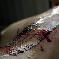 Kiki Chalikia的照片