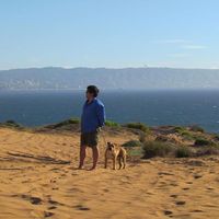 Italo Pastene的照片