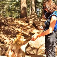 Diana Araújo's Photo