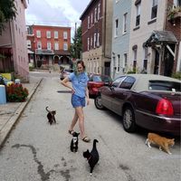 Photos de Megan Smith