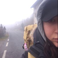 Fotos de Mona Hodaei