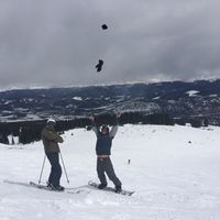 sam Bradley的照片