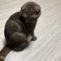 Muhammed U.S's Photo