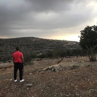 Moe Jbbarin的照片