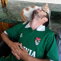 Фотографии пользователя Camilo Parisi