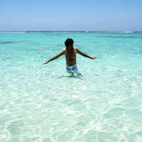 Al González's Photo