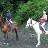 Patrick Francis's Photo