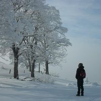 Pedro Vergueiro's Photo