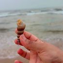 Season 5- Let’s Exchange Travel Stories's picture