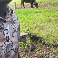 Frank Joseph的照片