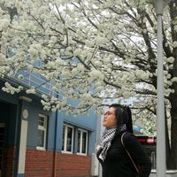 Fotos von Bruno- Ernesstum