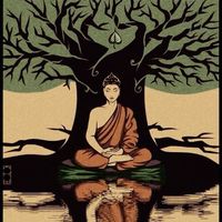 Le foto di Marcus Rose