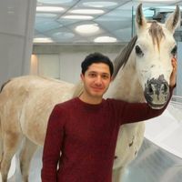 Abd Alrahman Alashraf的照片