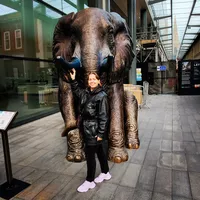 Fotos von Kristine Müürisepp