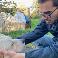 Фотографии пользователя Anthony Paul Simonetti