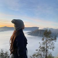 Fotos de Fifi ☘️