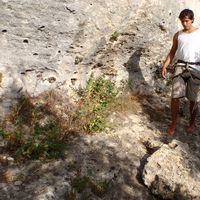 Fotos von Daniel Koeberl