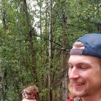 Fotos de Justin Hill