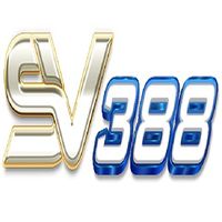 SV388 SV288 SVV388的照片