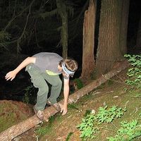 Andrew Grim的照片